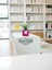 -Pembe Beton Saksıda Tillandsia Çiçeği Ofis Cafe Salon Hediye 2
