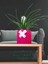 -Pembe Beton Saksıda Tillandsia Çiçeği Ofis Cafe Salon Hediye 4