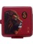 Galatasaray Lisanslı Aslan Temalı Çelik Termoslu Ilkokul Çanta Seti – Beş Parçalı Set 7