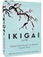 Ikigai: Japonların Uzun ve Mutlu Yaşam Sırrı - Hector Garcia | Öne Çıkanlar 5