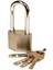 66530 40MM Long Shackle Diamond Padlock, Nylon/a 1