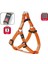 Kilitli Göğüs Tasma Xs 20-35Cm Turuncu 1