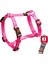 Karlıe Kilitli Göğüs Tasma M 45-70 Cm Pembe 1