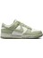 Dunk Low Next Nature HF5384-300 1