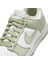 Dunk Low Next Nature HF5384-300 5