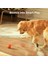 Akıllı İnteraktif Köpek Oyuncağı, Turuncu 7 X 7 X 7 Cm 4