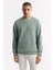 Erkek Mint Yeşil Bisiklet Yaka Baskılı Bi-Stretch İnterlok Regular Fit Sweatshirt A51Y1235 6