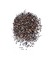 Yerli Kuzukulağı Mikro Yeşillik Tohumu, 15 Gram 3