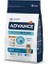 Cat Adult Tavuklu Pirinçli Yetişkin Kedi Maması 1,5 Kg 2
