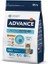 Cat Adult Chıcken & Rıce 3 Kg 1