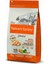 No Grain Serbest Gezen Tavuklu Tahılsız Yavru Kedi Maması 1,25 kg 1