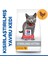 Kitten Sterilsed Yavru Kısır Kedi Maması 10 Kg 2