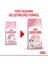 Royal Kitten Yavru Kediler için Kuru Kedi Maması 4kg 2