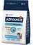 Baby Protect Kitten Tavuklu Yavru Kedi Maması 10 Kg 1