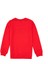 Erkek Çocuk Kırmızı Sweatshirt 50307801-VR030 2