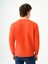 Regular Fit Turuncu Erkek Sweatshirt LF2034268 3