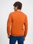 Regular Fit Turuncu Erkek Sweatshirt LF2034268 5