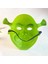 Yeşil Shrek Maskesi 21X25 cm 4