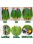 Tropikal Esintili Hawaii Yapraklı Parti Eteği Yetişkin Boy 4