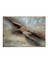 Uçan Kartal Hediyelik Mdf Tablo 50 cm x 70 cm 1