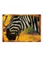 Sarı Fon Zebra Modern Mdf Tablo 50 cm x 70 cm 1