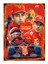 Formula 1 Pilotu Model Mdf Tablo 1