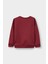 Erkek Bebek Bisiklet Yaka Baskılı 2'li Sweatshirt E9228A525AU 4