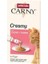 Snack Carny Somonlu & Taurinli Kedi Kreması 6X15 gr 1