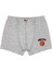 Erkek Çocuk Boxer 3'lü Baskılı (%96 Pamuk - %4 Elastan) 2