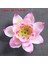 L 10.7x5.6cm Stili Çoklu Stiller Seramik Lotus Tütsü Brülör Ev Dekorasyonu Tütsü Çubuğu Tutucu El Yapımı Budist Aromaterapi Sunak Ofis Çay Evi - (Yurt Dışından) 1