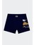 Erkek Çocuk Boxer 3'lü Baskılı (%96 Pamuk - %4 Elastan) 9