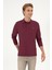 Erkek Plum Sweatshirt 50313772-VR177 1