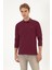 Erkek Plum Sweatshirt 50313772-VR177 3