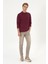 Erkek Plum Sweatshirt 50313772-VR177 4