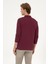 Erkek Plum Sweatshirt 50313772-VR177 5