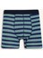 Regular Fit Çizgili 3'lü Boxer E0123AX25AU 2