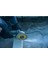 180 mm Turbo Profesyonel Elmaslı Mermer Kesici | Seramik, Porselen, Mermer ve Granit Kesici 6