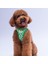 Frog Air-Mesh Göğüs Tasması Kedi Köpek Göğüs Tasması Kurbağa Desenli Köpek Tasması 1