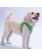 Frog Air-Mesh Göğüs Tasması Kedi Köpek Göğüs Tasması Kurbağa Desenli Köpek Tasması 4