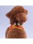 Poodle Air-Mesh Göğüs Tasması Kedi Köpek Göğüs Tasması 4