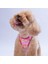 Daisy Air-Mesh Göğüs Tasması Kedi Köpek Göğüs Tasması Papatya Desenli Köpek Tasması 1