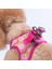 Daisy Air-Mesh Göğüs Tasması Kedi Köpek Göğüs Tasması Papatya Desenli Köpek Tasması 4