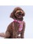 Daisy Air-Mesh Göğüs Tasması Kedi Köpek Göğüs Tasması Papatya Desenli Köpek Tasması 3