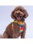 Rainbow Air-Mesh Göğüs Tasması Kedi Köpek Göğüs Tasması Gökkuşağı Desenli Köpek Tasması 1