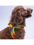 Rainbow Air-Mesh Göğüs Tasması Kedi Köpek Göğüs Tasması Gökkuşağı Desenli Köpek Tasması 3