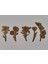 Boyanabilir Ahşap Ham Mdf Çiçekler | 3 mm Ham Ahşap (5 Li Set Halinde) |EO6006 1