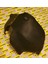 86821-F2000 Davlunbaz Elantra 2016 Arka Solithal 1