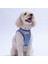 Charm Air-Mesh Göğüs Tasması Kedi Köpek Göğüs Tasması Nazar Boncuğu Desenli Köpek Tasması 1