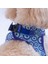 Charm Air-Mesh Göğüs Tasması Kedi Köpek Göğüs Tasması Nazar Boncuğu Desenli Köpek Tasması 4