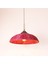 Mylamp Mendong Berry Aydınlatma 60X27 cm 3